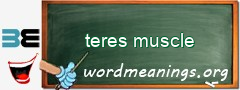 WordMeaning blackboard for teres muscle